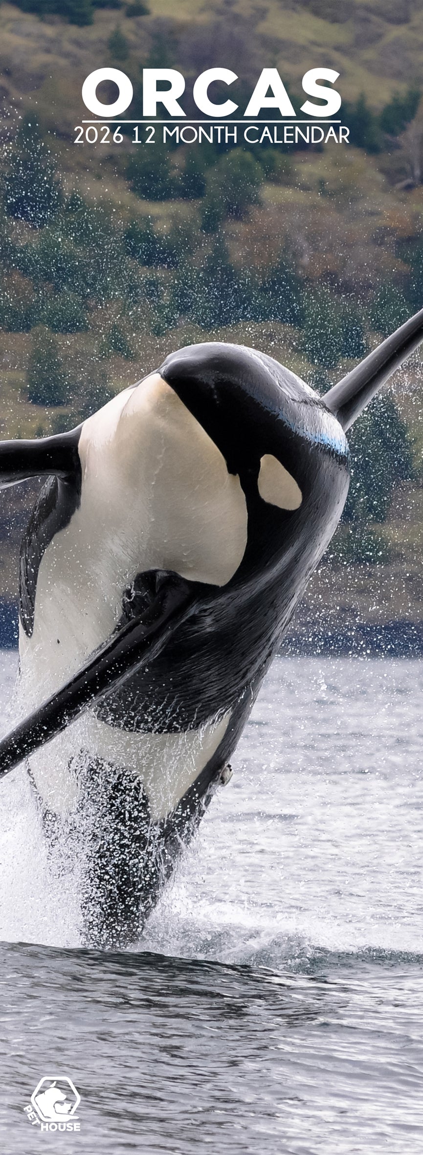 Orcas - Slim Calendar 2026