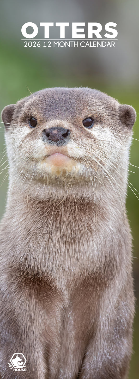 Otters - Slim Calendar 2026