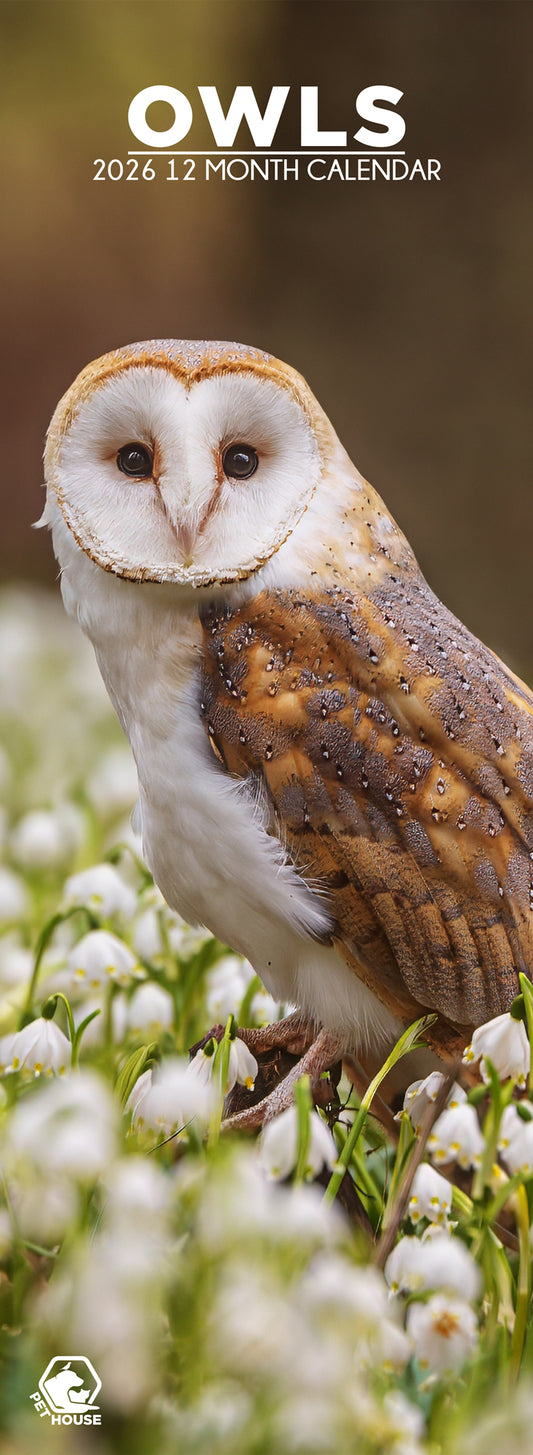 Owls - Slim Calendar 2026