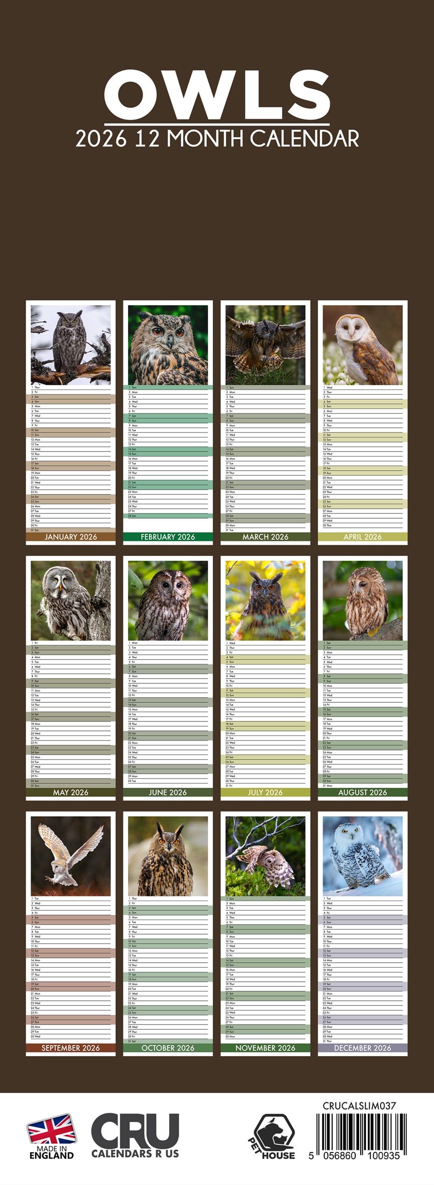 Owls - Slim Calendar 2026