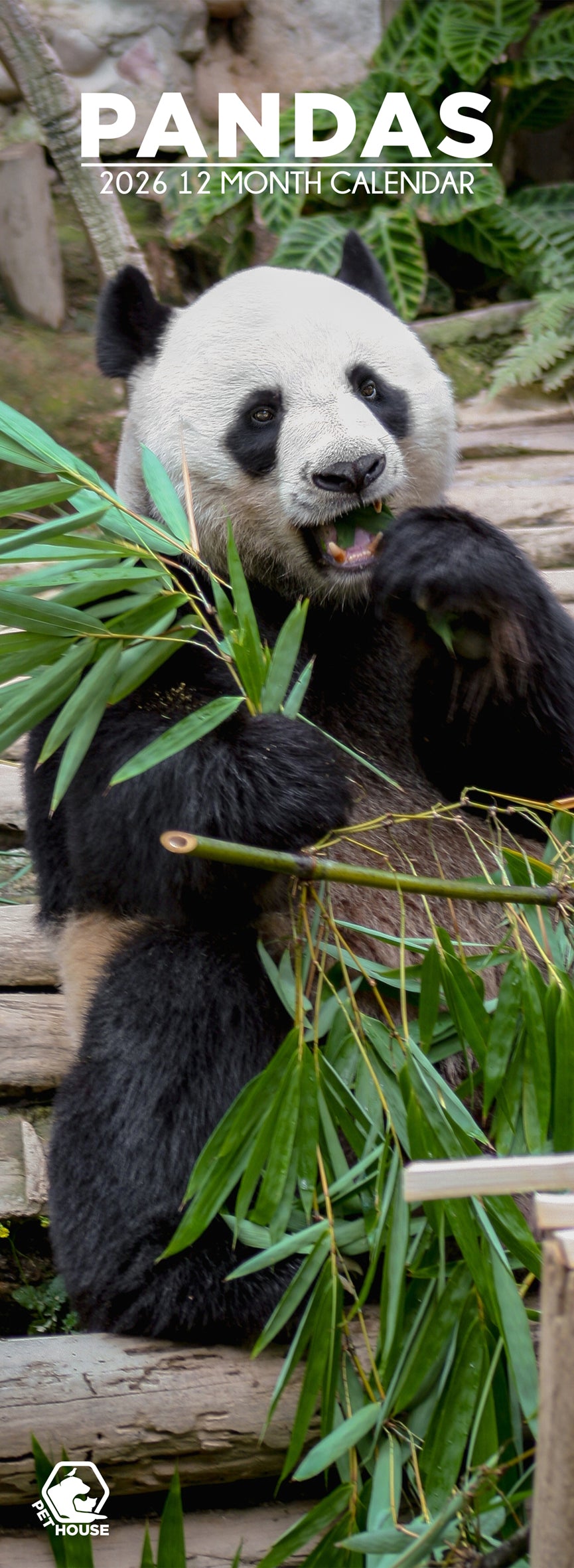 Pandas - Slim Calendar 2026