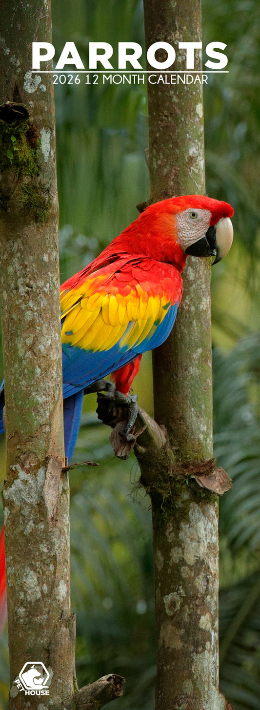 Parrots - Slim Calendar 2026
