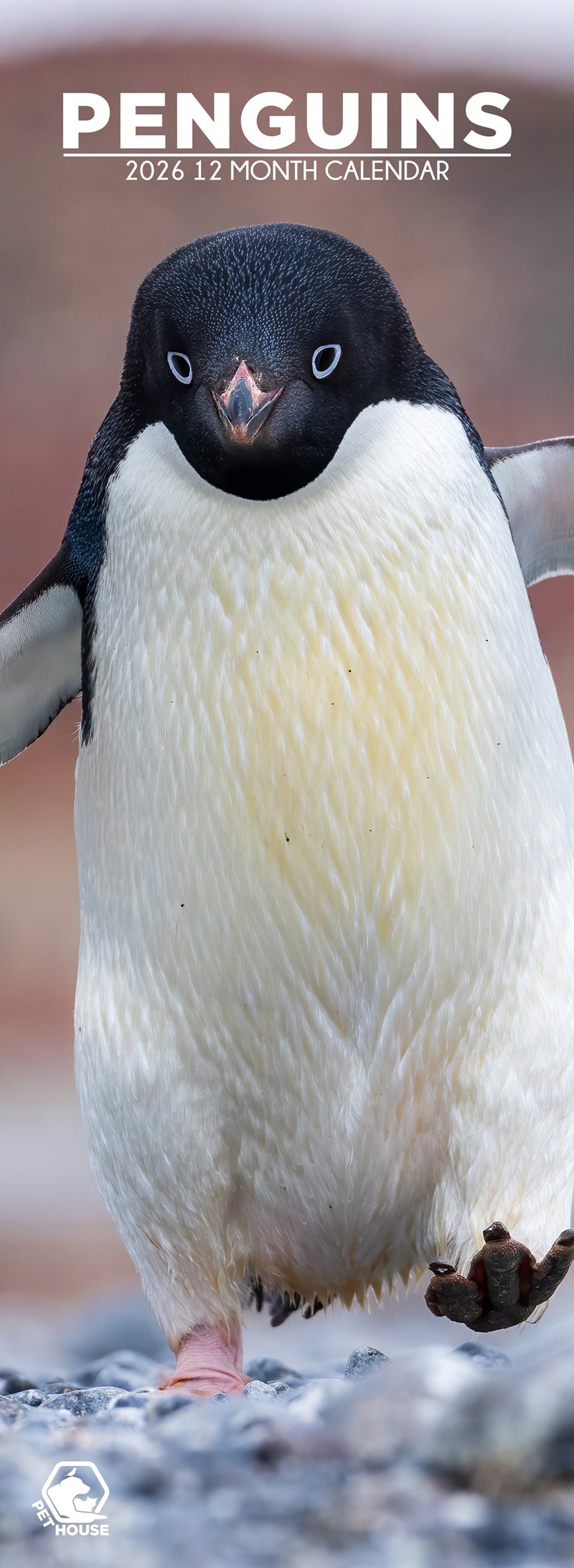 Penguins - Slim Calendar 2026