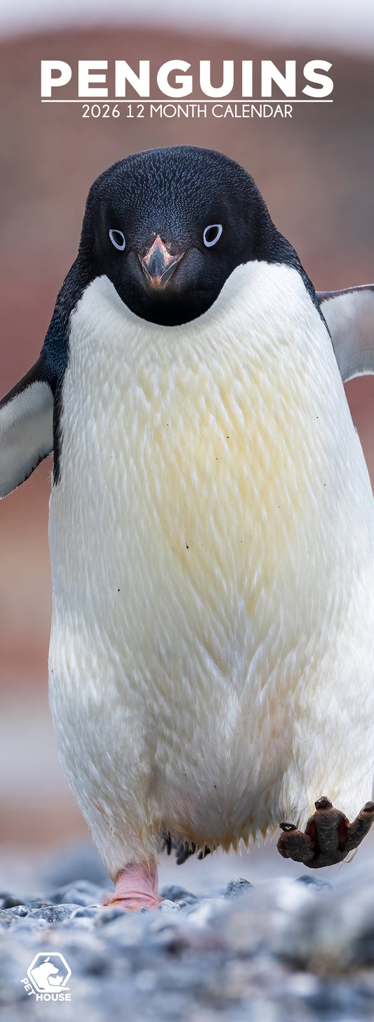 Penguins - Slim Calendar 2026