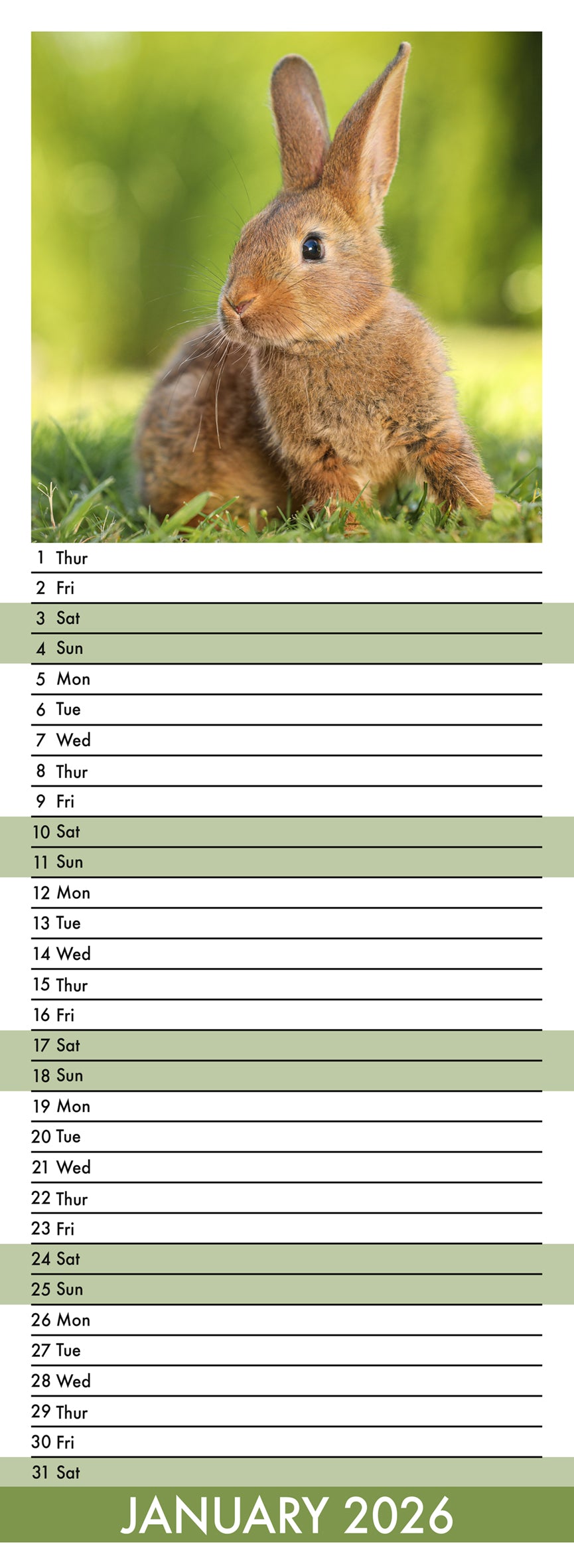 Rabbits - Slim Calendar 2026