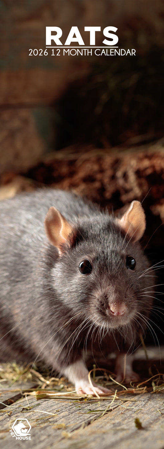 Rats - Slim Calendar 2026