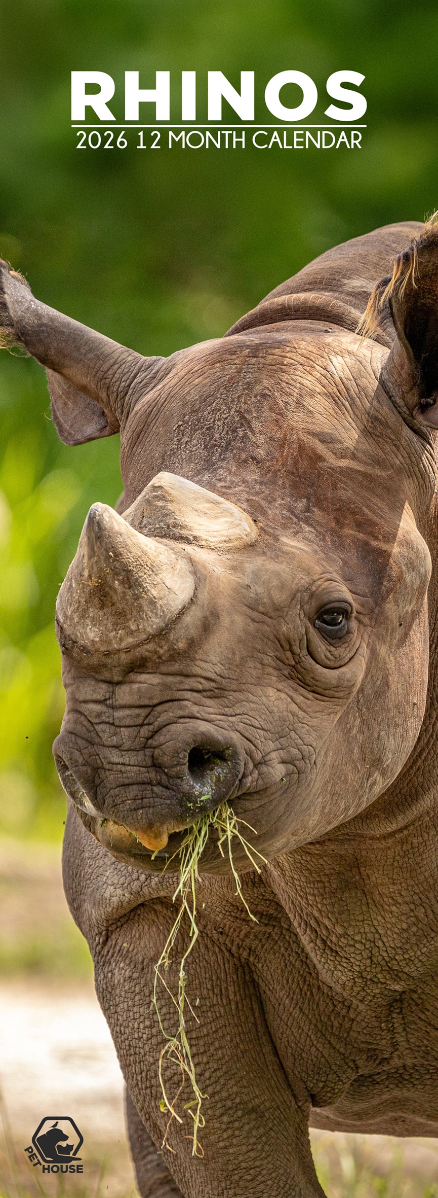 Rhinos - Slim Calendar 2026