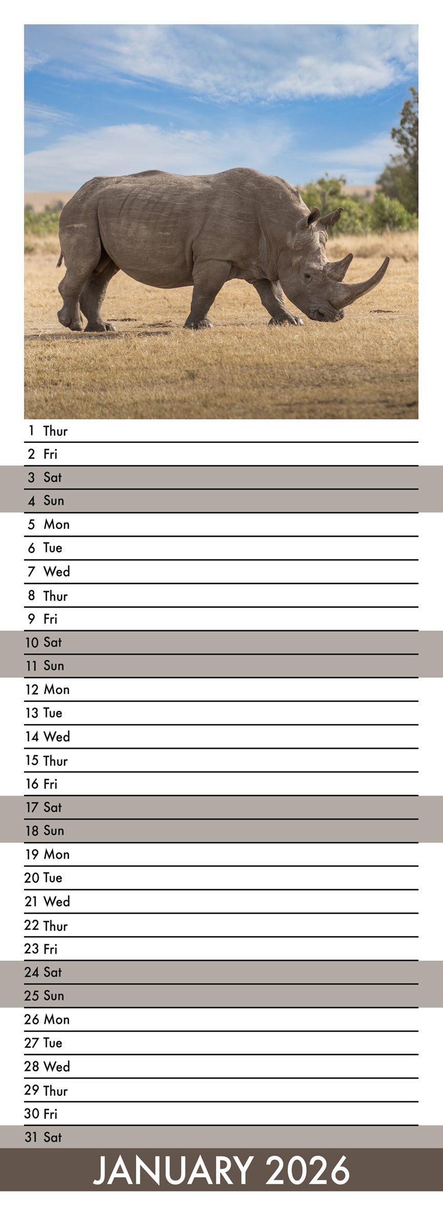 Rhinos - Slim Calendar 2026