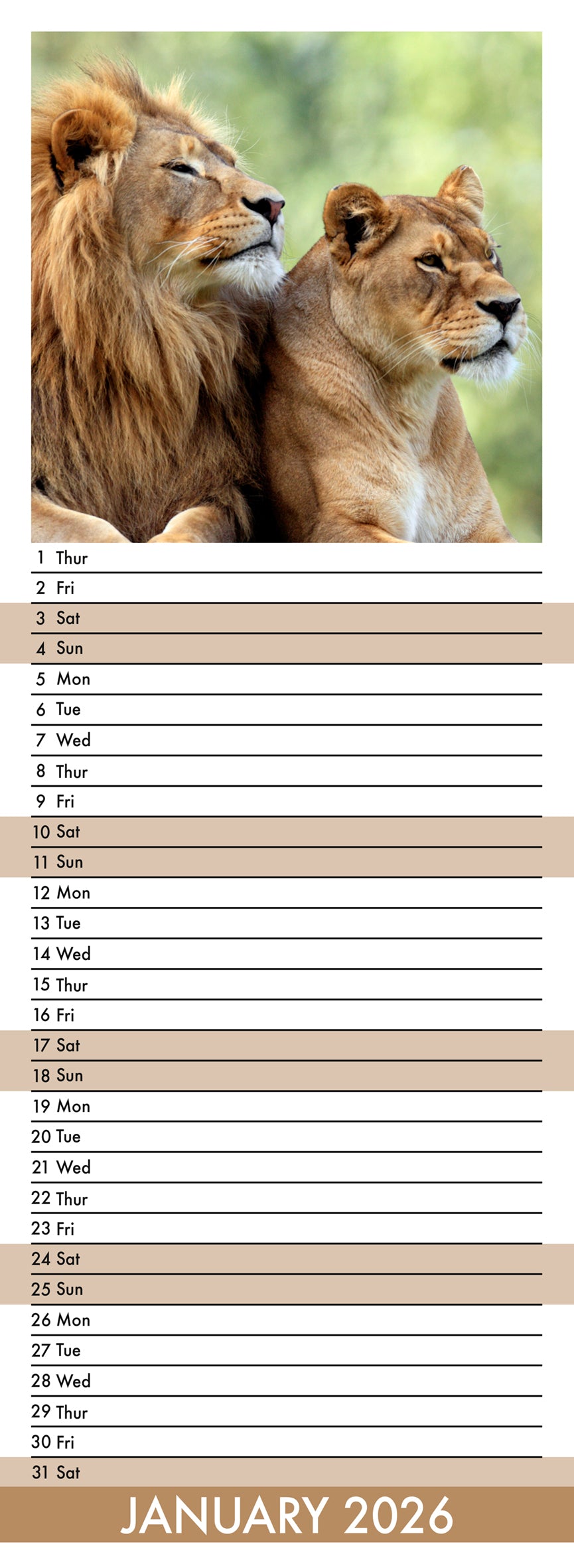 Safari - Slim Calendar 2026