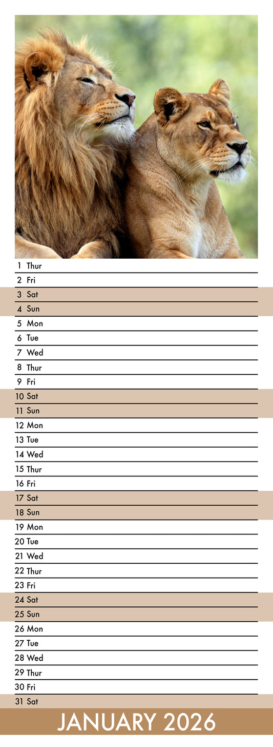 Safari - Slim Calendar 2026