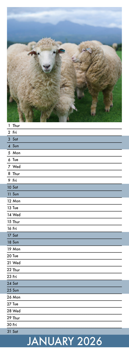 Sheep - Slim Calendar 2026