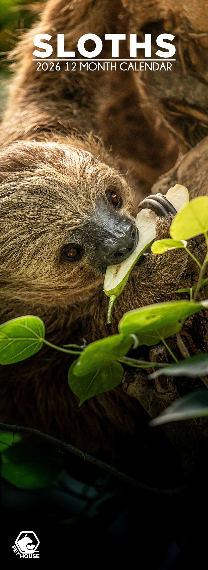 Sloths - Slim Calendar 2026
