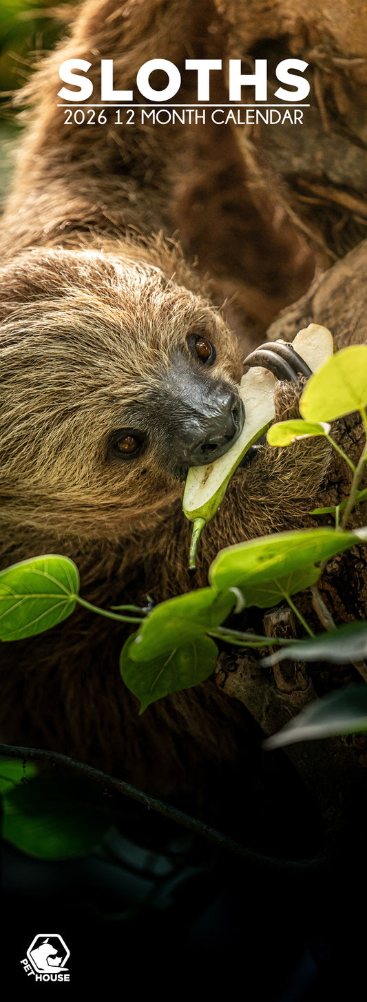 Sloths - Slim Calendar 2026