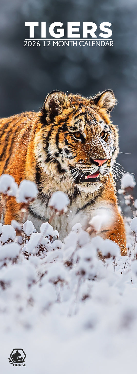 Tigers - Slim Calendar 2026