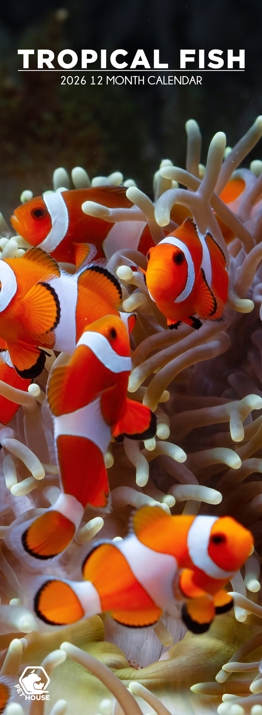 Tropical Fish - Slim Calendar 2026