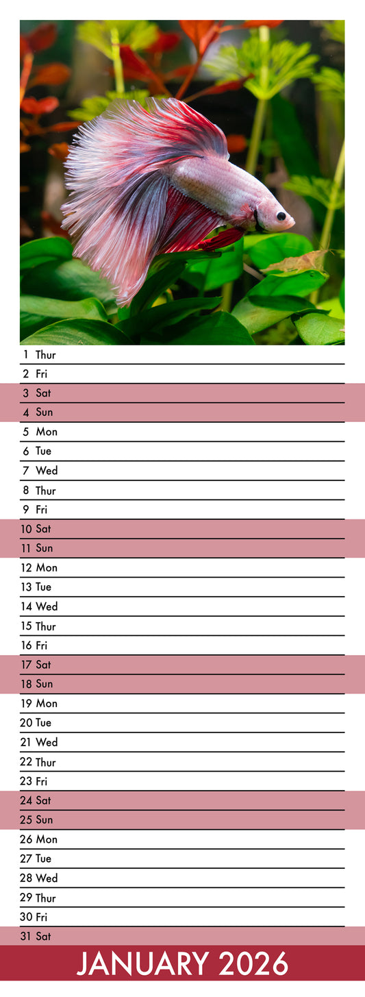 Tropical Fish - Slim Calendar 2026