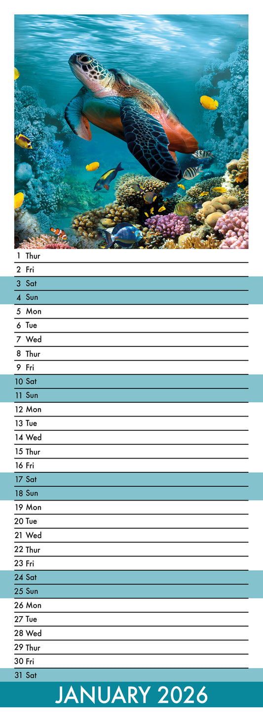 Turtles - Slim Calendar 2026