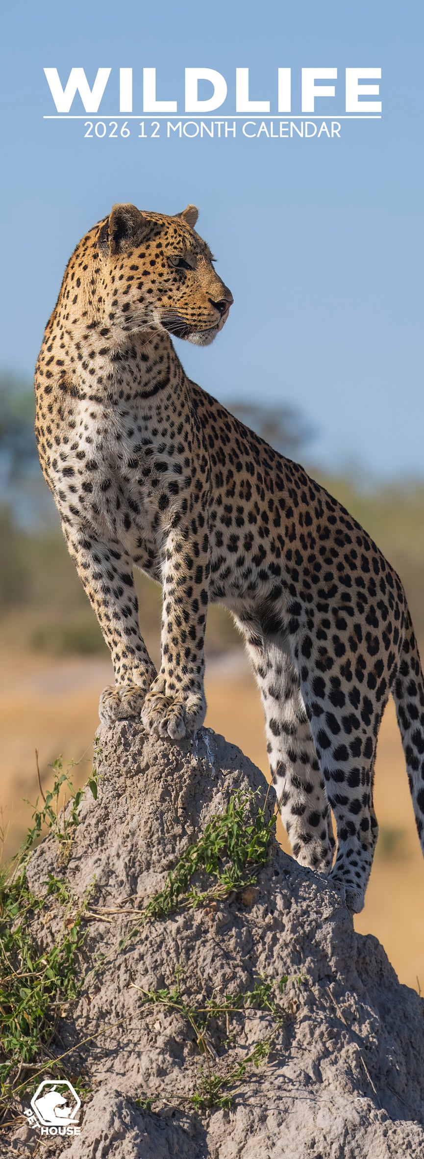 Wildlife - Slim Calendar 2026