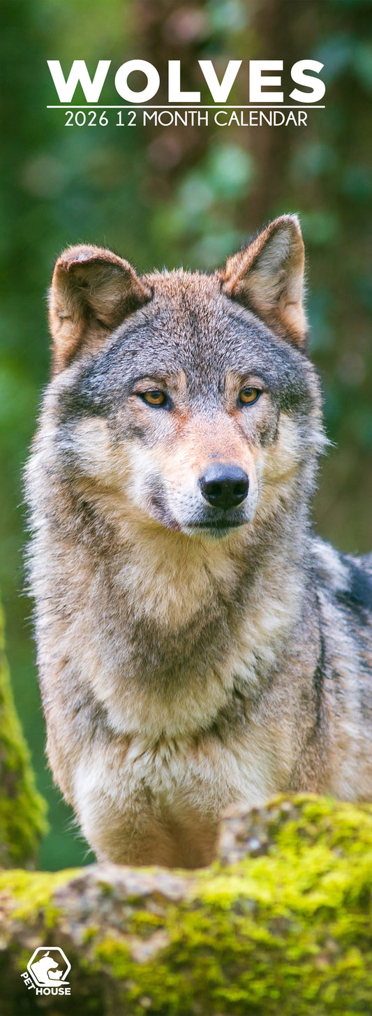 Wolves - Slim Calendar 2026