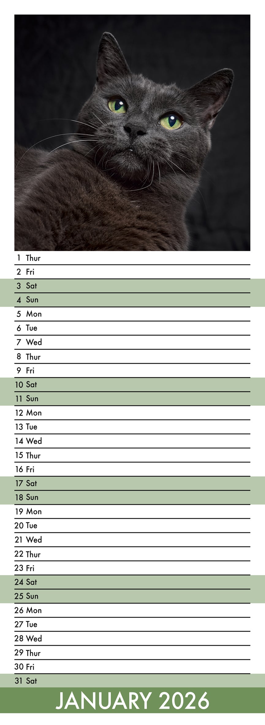 Black Cats - Slim Calendar 2026