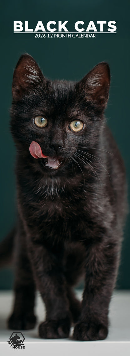 Black Cats - Slim Calendar 2026