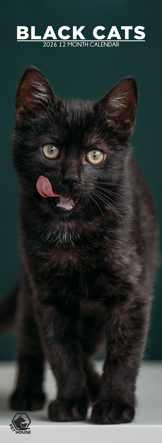 Black Cats - Slim Calendar 2026