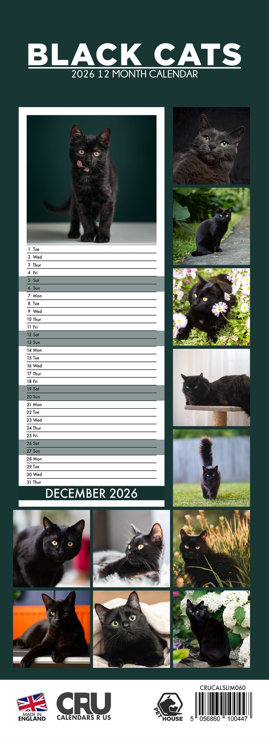 Black Cats - Slim Calendar 2026