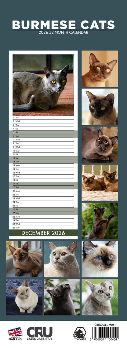 Burmese Cats - Slim Calendar 2026