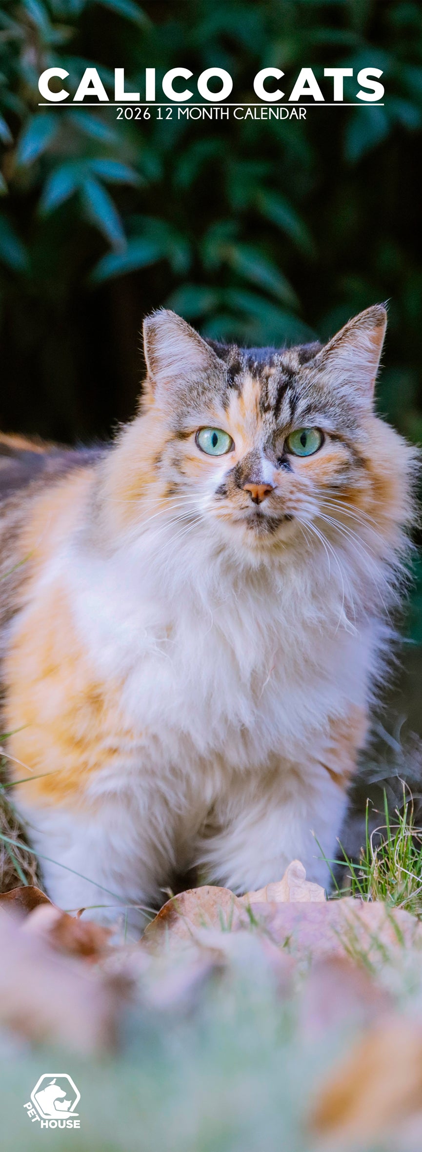 Calico Cats - Slim Calendar 2026