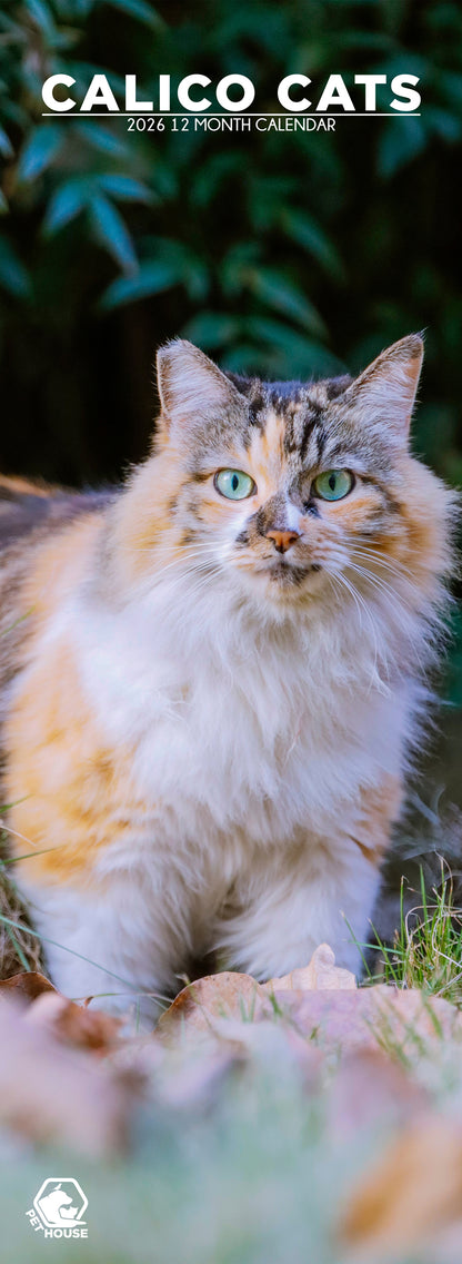 Calico Cats - Slim Calendar 2026