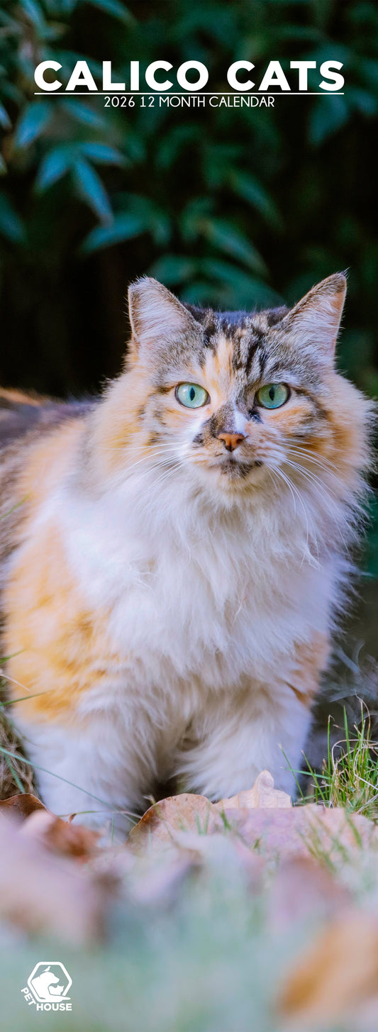 Calico Cats - Slim Calendar 2026