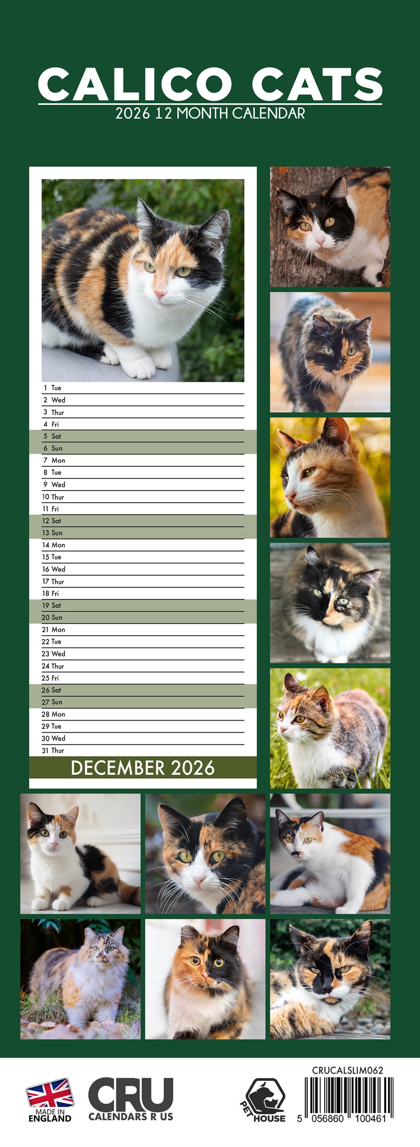 Calico Cats - Slim Calendar 2026