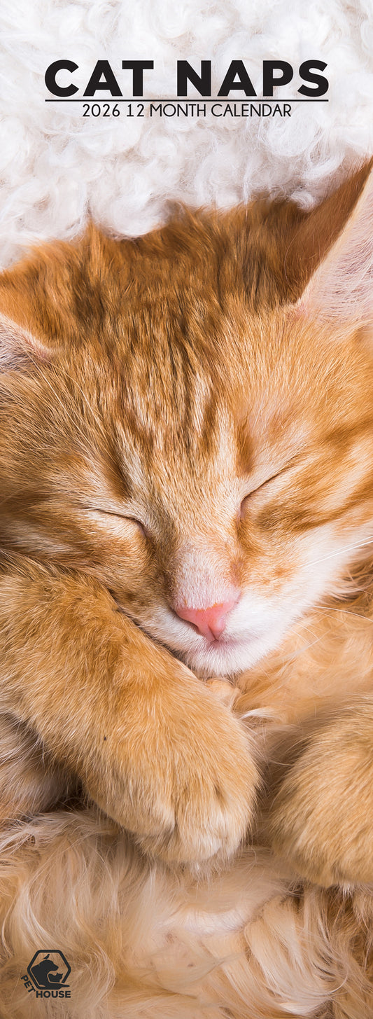 Cat Naps - Slim Calendar 2026