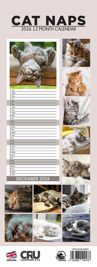 Cat Naps - Slim Calendar 2026