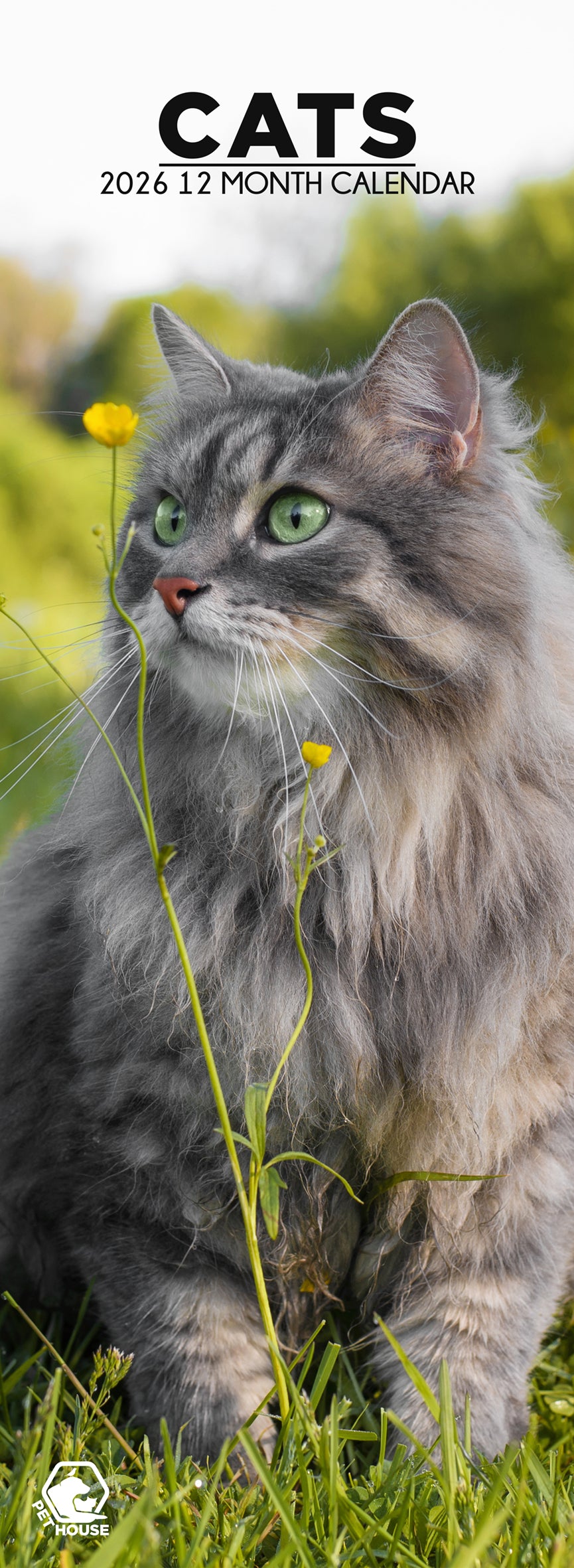 Cats - Slim Calendar 2026