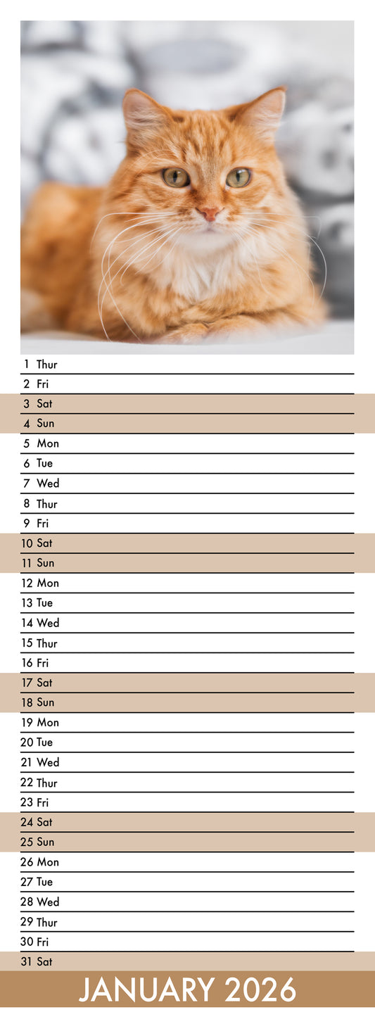 Ginger Cats - Slim Calendar 2026