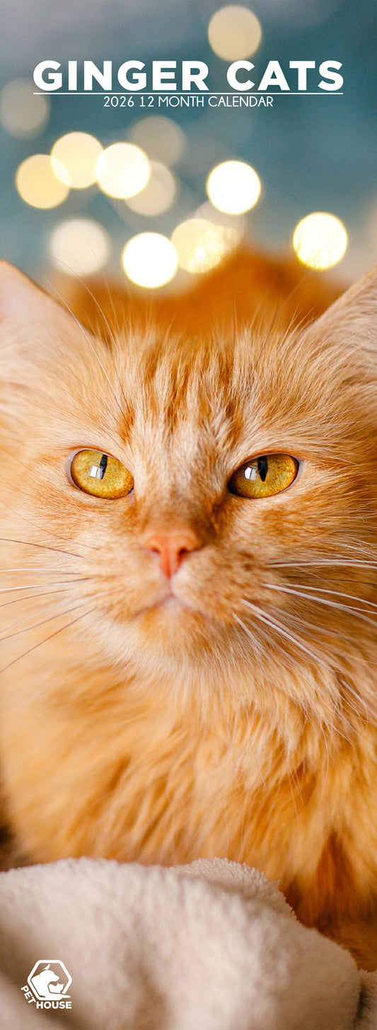 Ginger Cats - Slim Calendar 2026