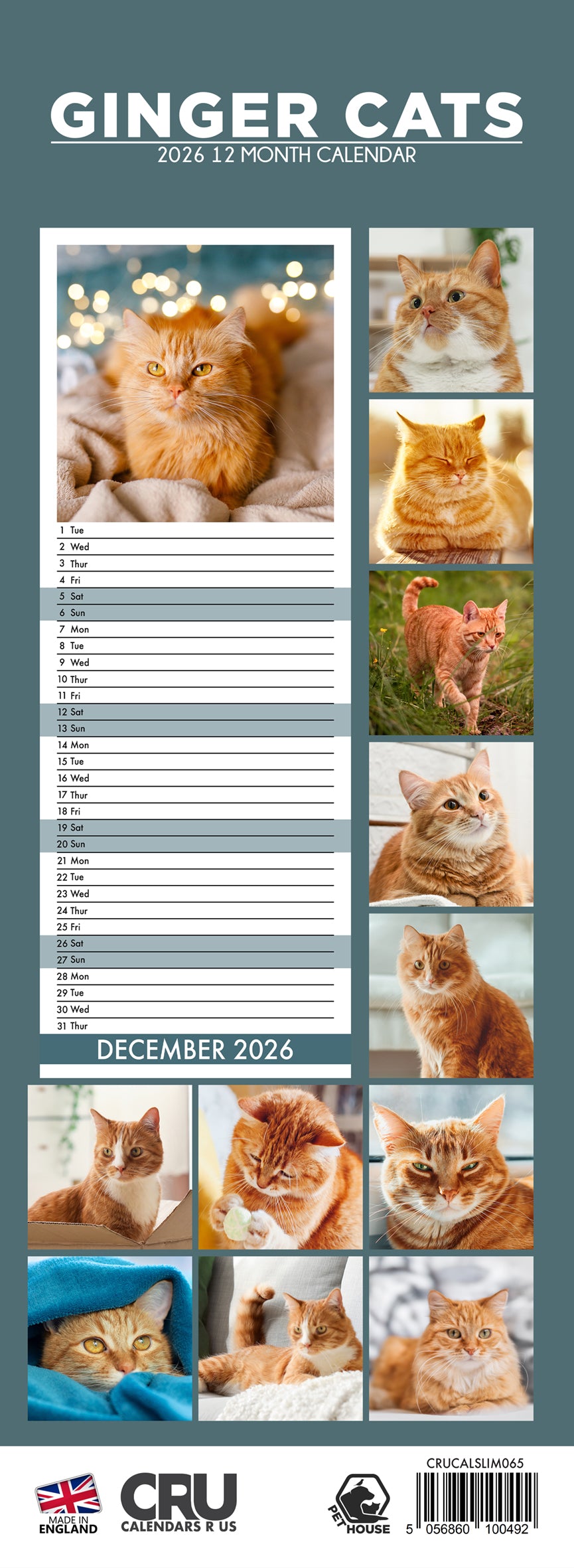 Ginger Cats - Slim Calendar 2026