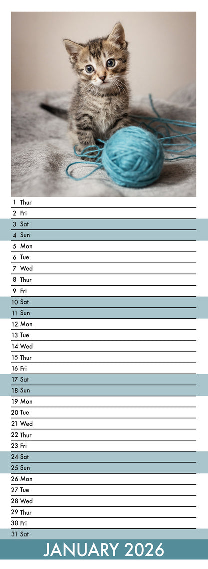 Kittens - Slim Calendar 2026