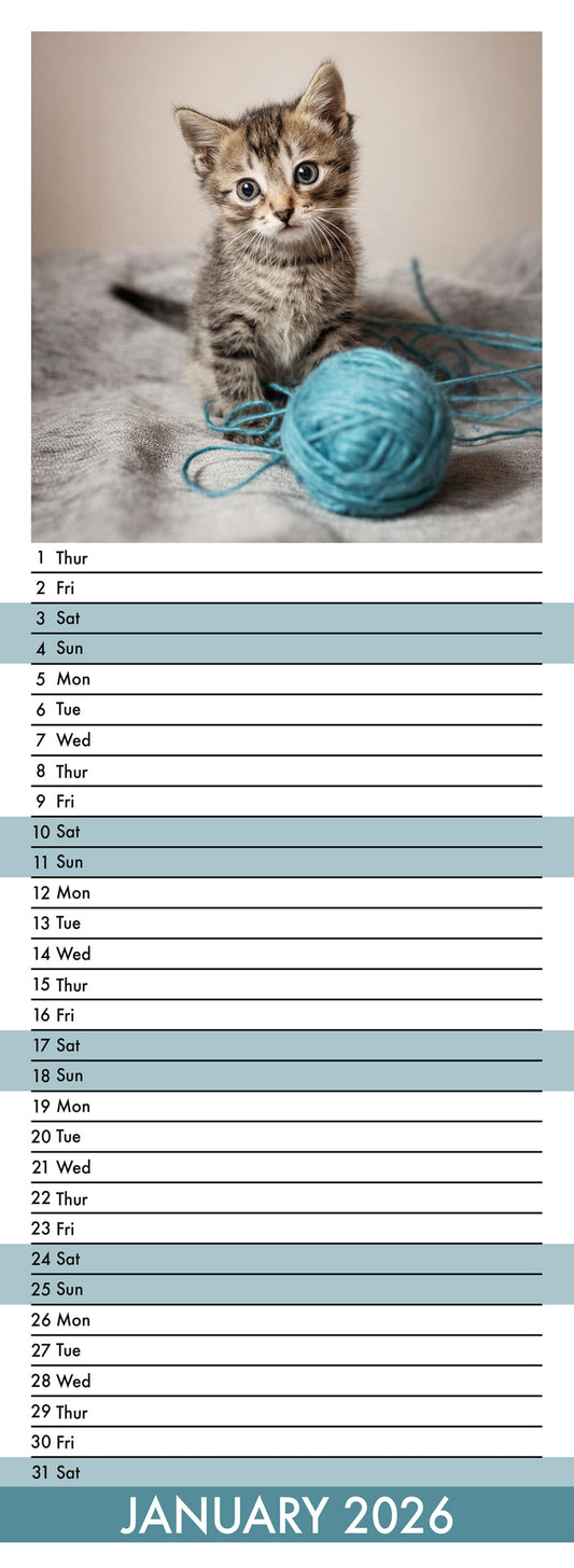 Kittens - Slim Calendar 2026