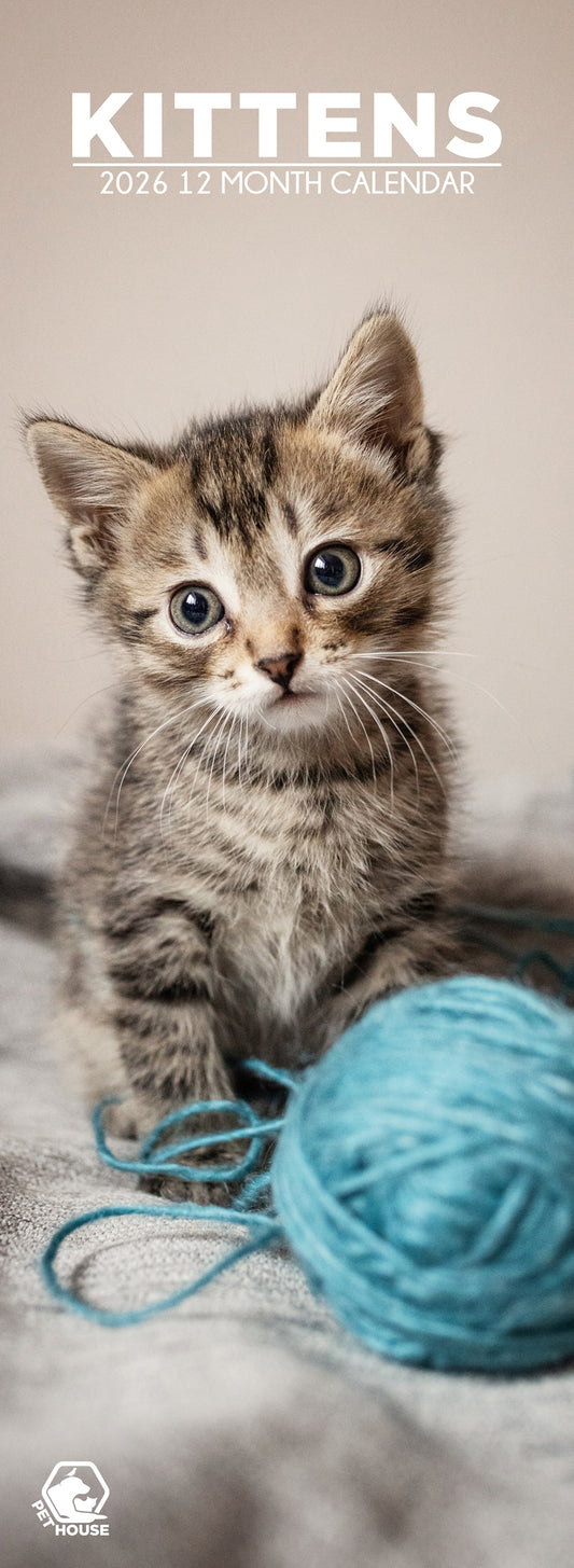 Kittens - Slim Calendar 2026