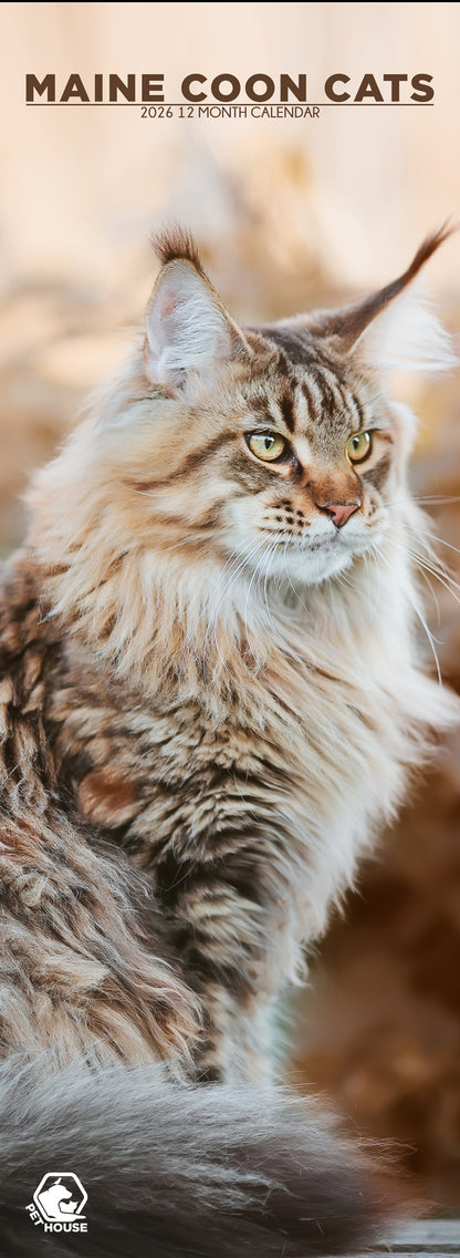 Maine Coon Cats - Slim Calendar 2026