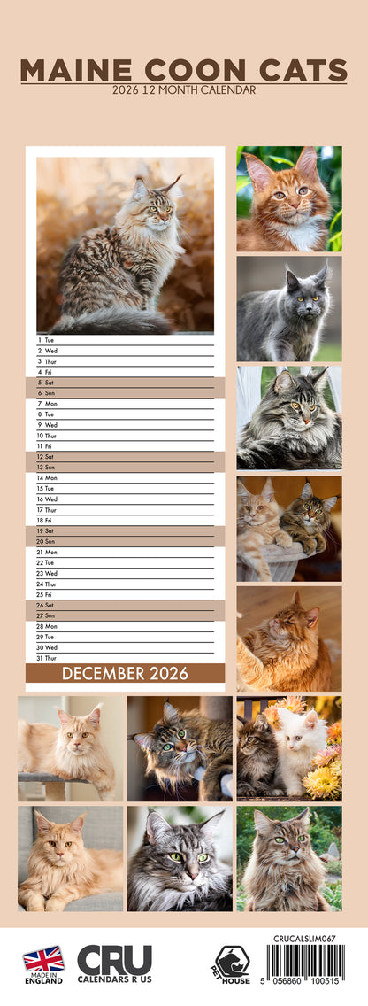 Maine Coon Cats - Slim Calendar 2026