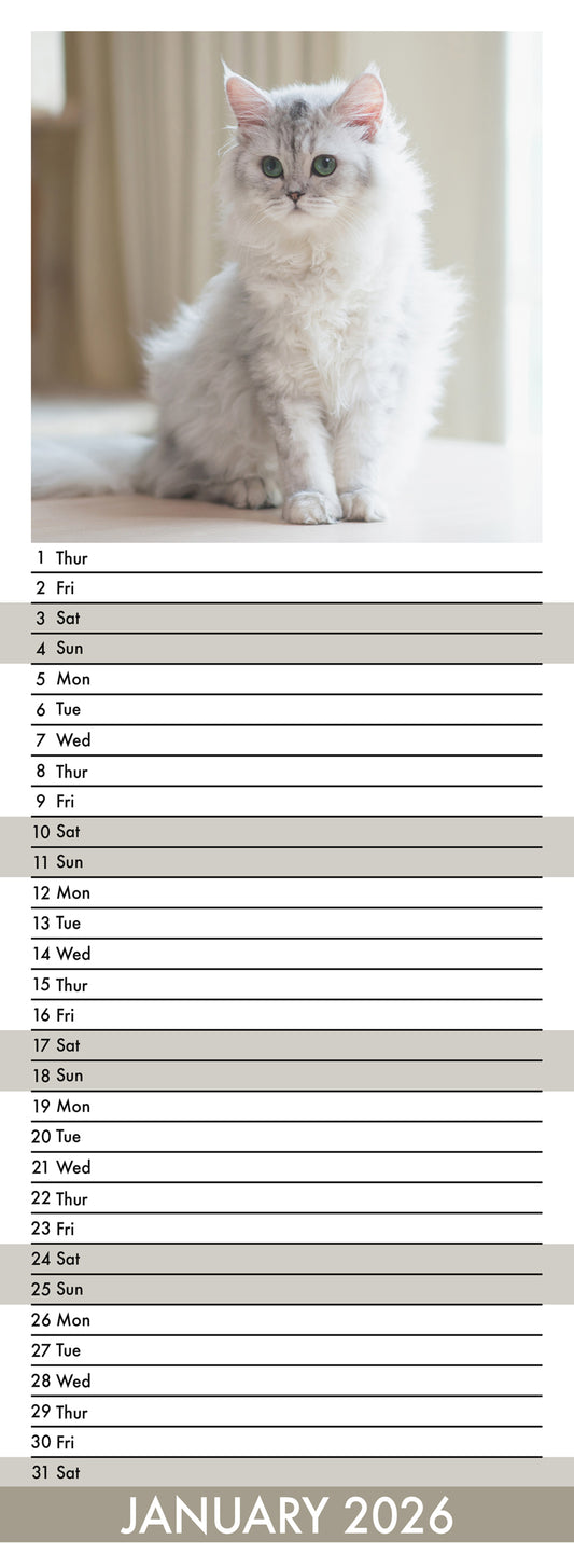 Persian Cats - Slim Calendar 2026