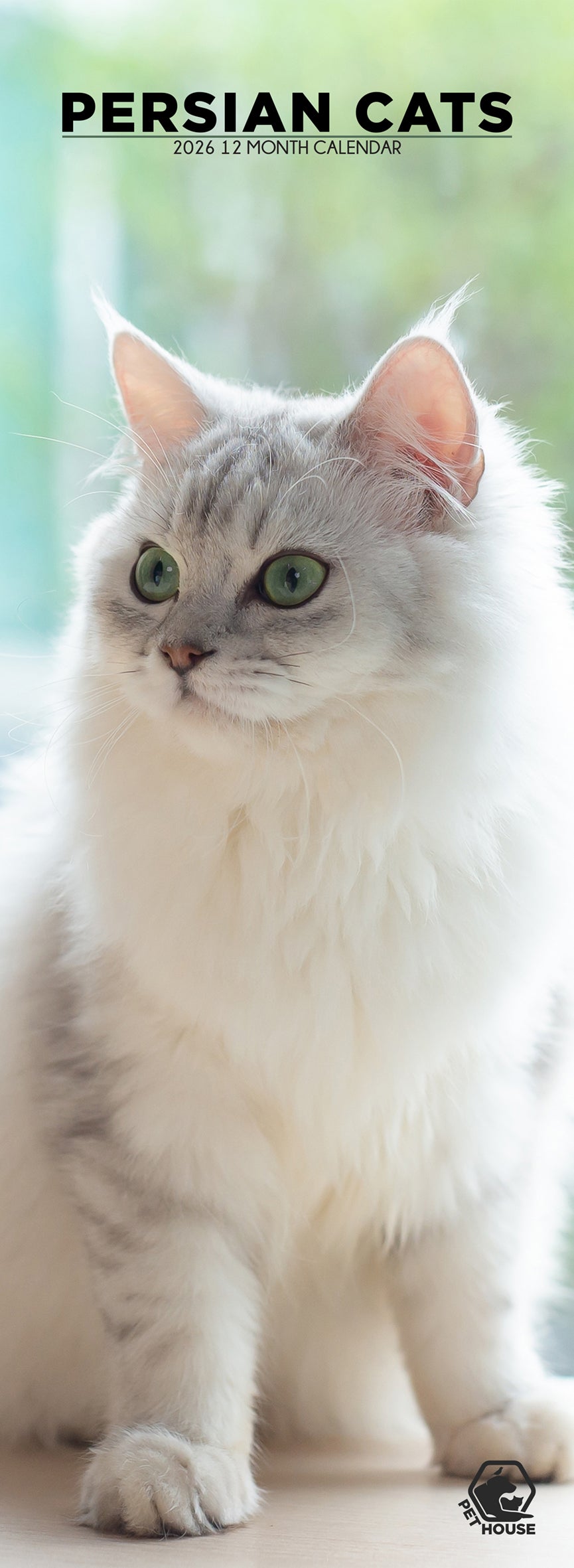 Persian Cats - Slim Calendar 2026