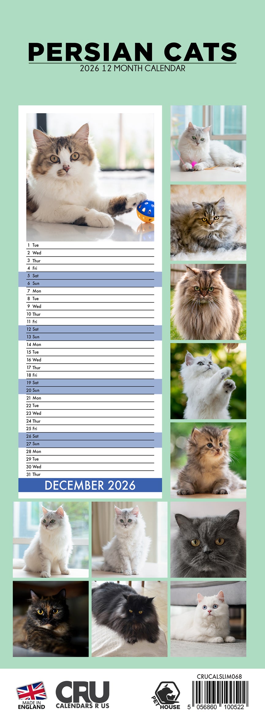Persian Cats - Slim Calendar 2026