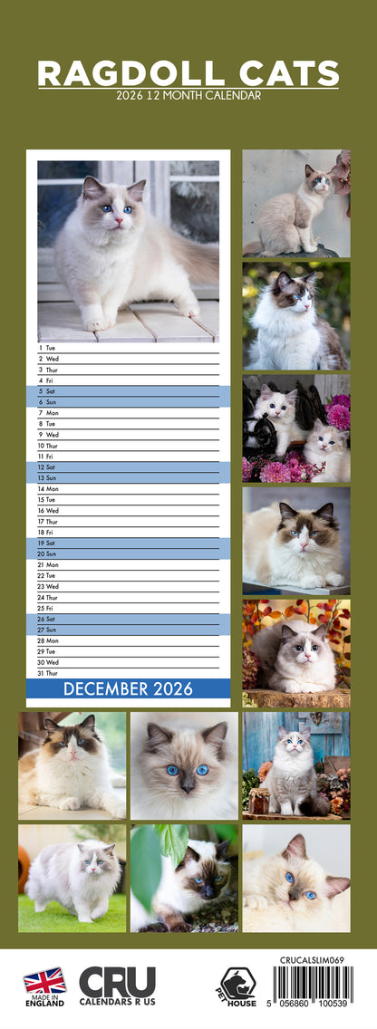 Ragdoll Cats - Slim Calendar 2026