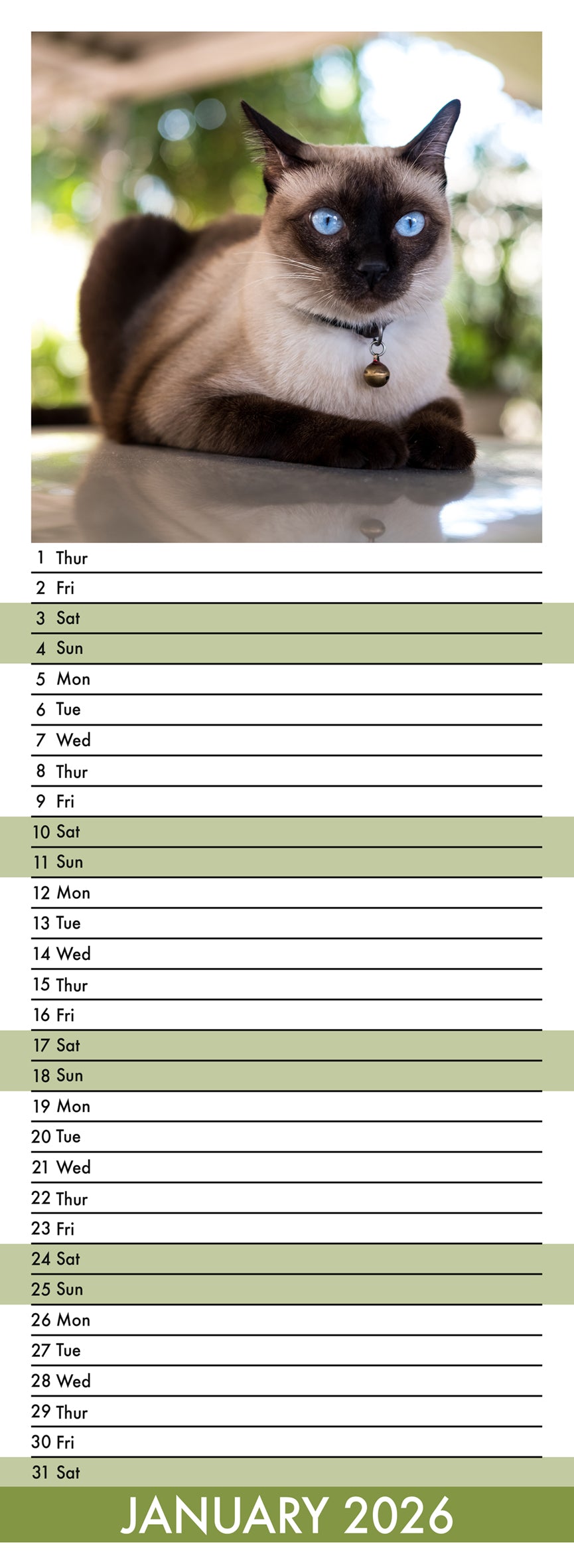 Siamese Cats - Slim Calendar 2026
