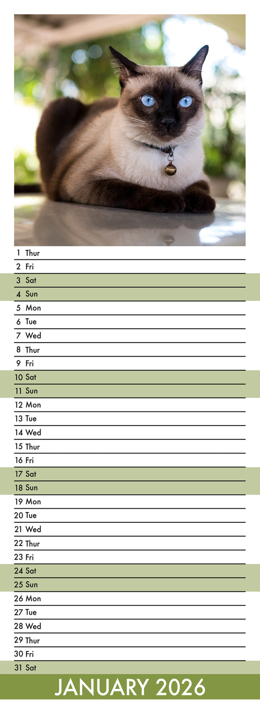 Siamese Cats - Slim Calendar 2026