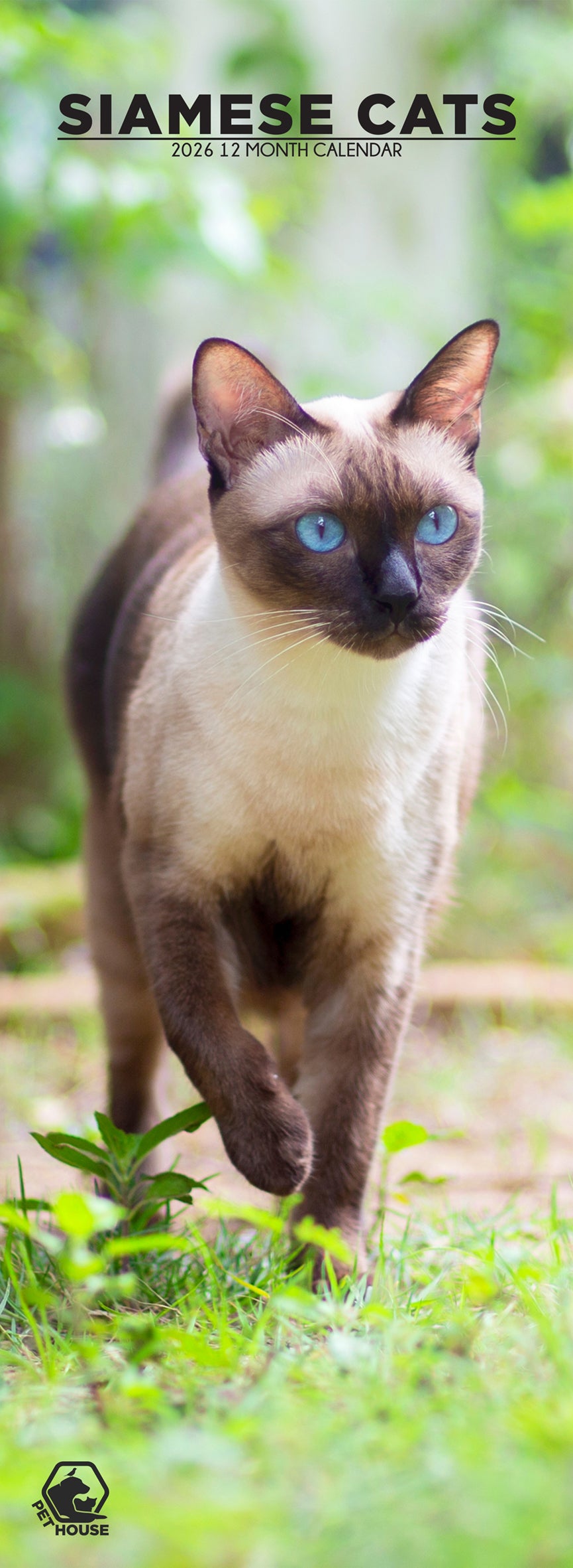 Siamese Cats - Slim Calendar 2026